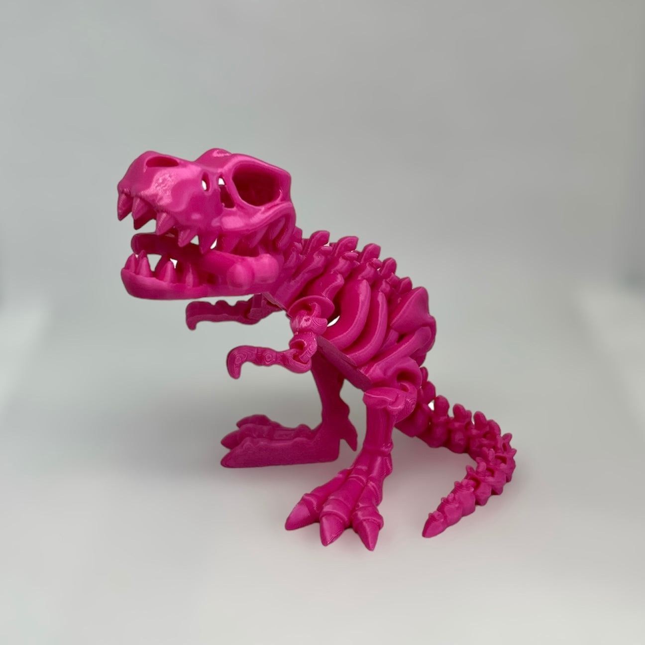 Fun T-Rex Fidget Toy - 3D Printed Desk Decoration, Articulated Tyrannosaurus rex Skeleton